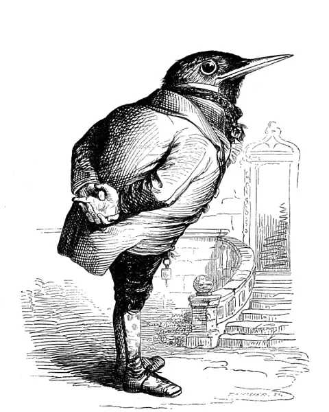 Humanized animals illustrations: Bird