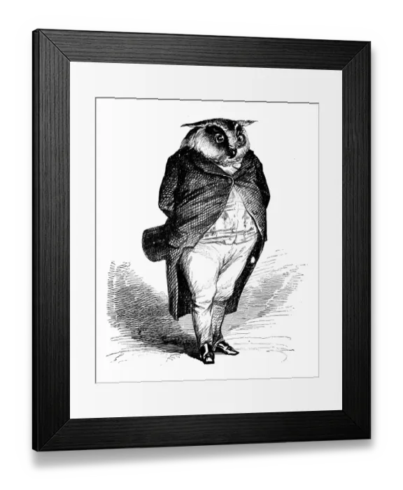 Framed Print : Humanized animals illustrations: Owl Framed Print : Humanized animals illustrations: Owl