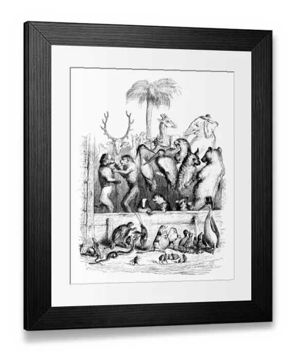 Framed Print : Humanized animals illustrations: Group Framed Print : Humanized animals illustrations: Group