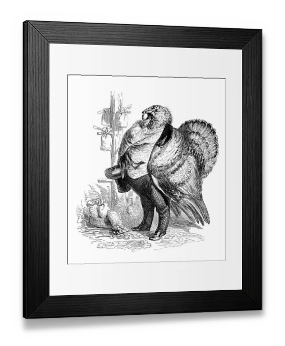 Framed Print : Humanized animals illustrations: Turkey Framed Print : Humanized animals illustrations: Turkey