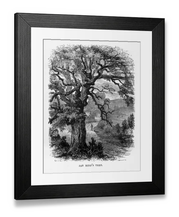 Framed Print : Jan Riddas Tree, Exmoor, England Victorian Engraving, 1840 Framed Print : Jan Riddas Tree, Exmoor, England Victorian Engraving, 1840