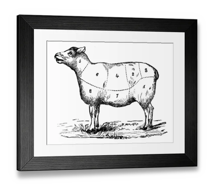 Framed Print : Antique recipes book engraving illustration: Mutton sections Framed Print : Antique recipes book engraving illustration: Mutton sections