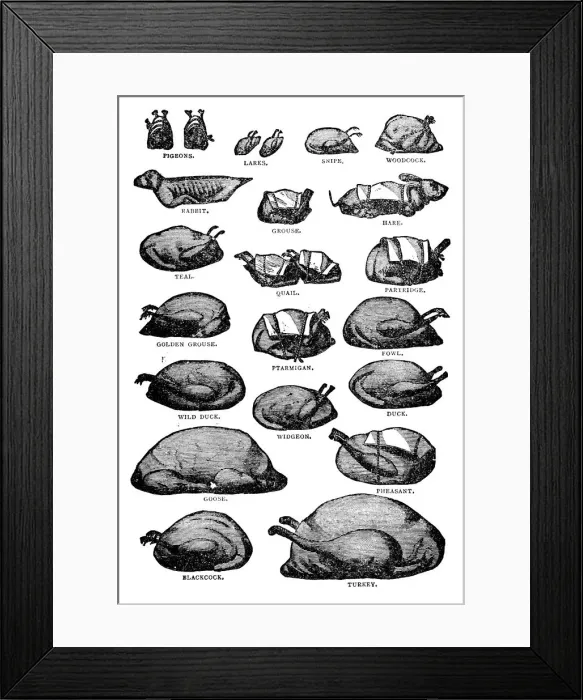 Framed Print : Antique recipes book engraving illustration: Poultry and gamebirds Framed Print : Antique recipes book engraving illustration: Poultry and gamebirds