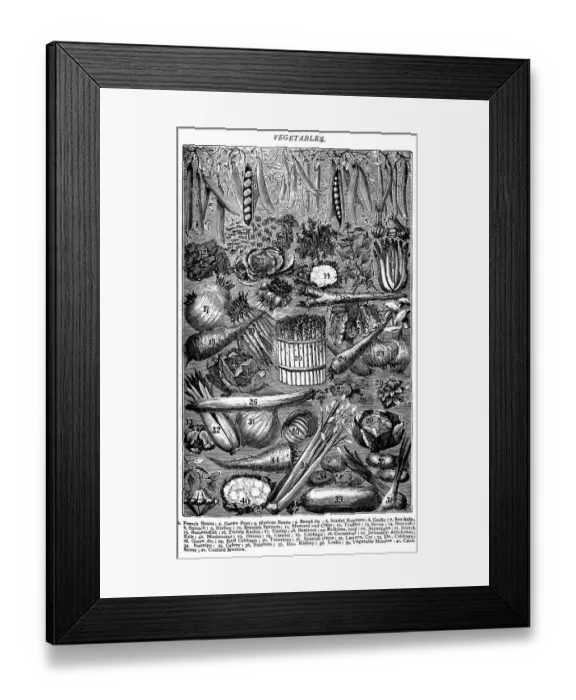 Framed Print : Antique recipes book engraving illustration: Vegetables
