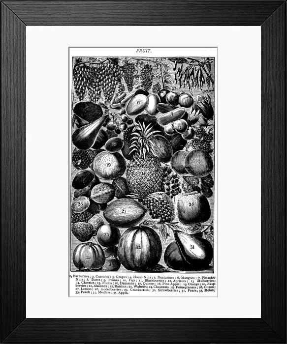 Framed Print : Antique recipes book engraving illustration: Fruit Framed Print : Antique recipes book engraving illustration: Fruit