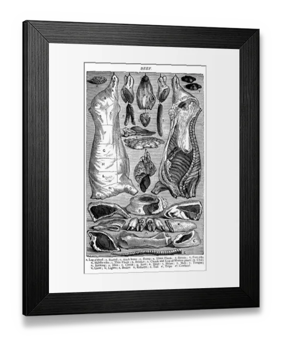 Framed Print : Antique recipes book engraving illustration: Beef Framed Print : Antique recipes book engraving illustration: Beef