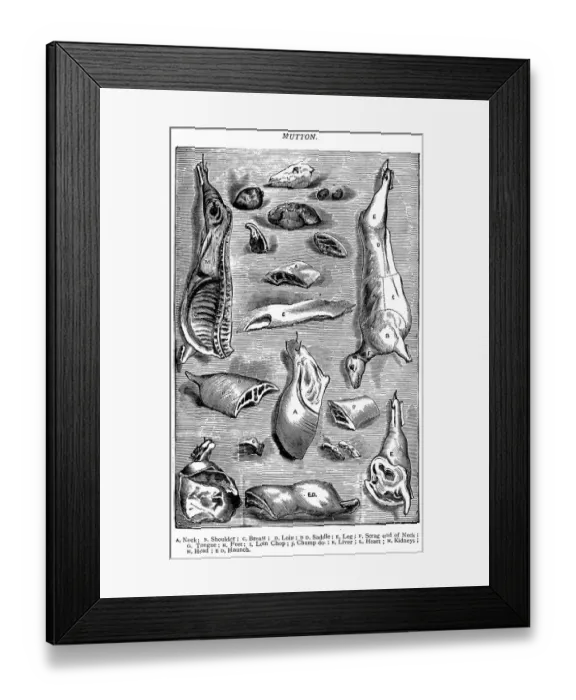 Framed Print : Antique recipes book engraving illustration: Mutton Framed Print : Antique recipes book engraving illustration: Mutton