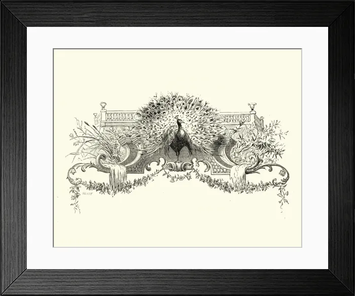 Framed Print : Manon Lescaut - Peacock Framed Print : Manon Lescaut - Peacock