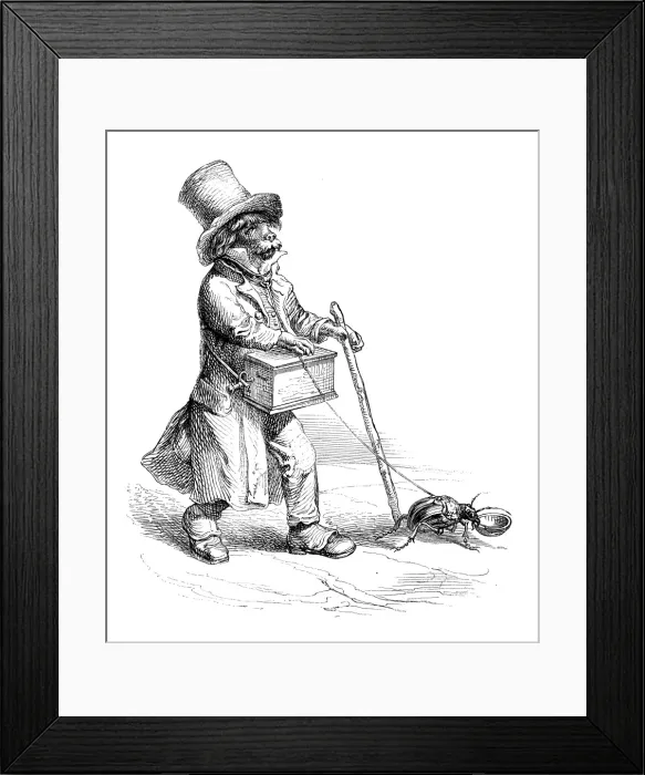 Framed Print : Humanized animals illustrations: Dog with insect pet Framed Print : Humanized animals illustrations: Dog with insect pet