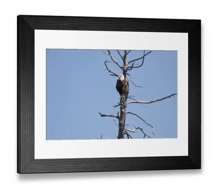 Framed Print : Watch Tower Framed Print : Watch Tower