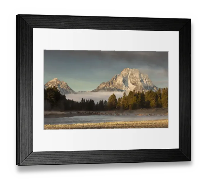 Framed Print : Morning commute