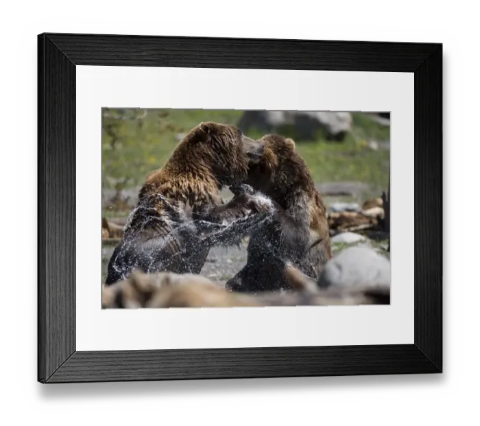 Framed Print : Water Dance
