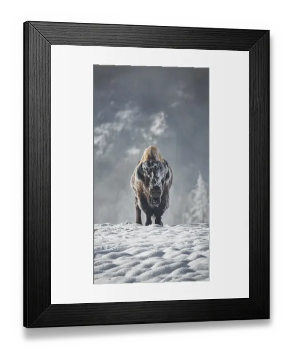 Framed Print : Winter Tested Framed Print : Winter Tested