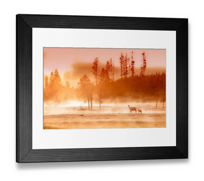 Framed Print : deer near stream at dawn Framed Print : deer near stream at dawn