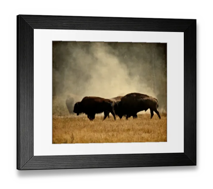 Framed Print : let the rut begin