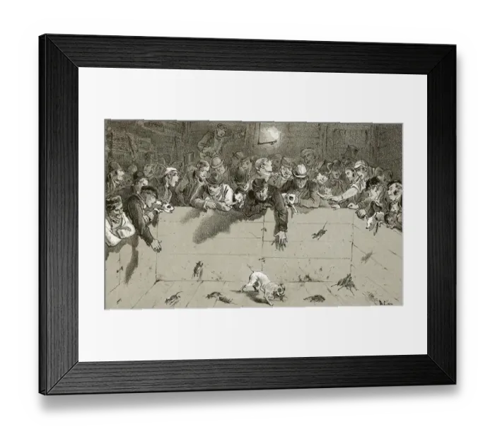 Framed Print : Rat-Catching Framed Print : Rat-Catching
