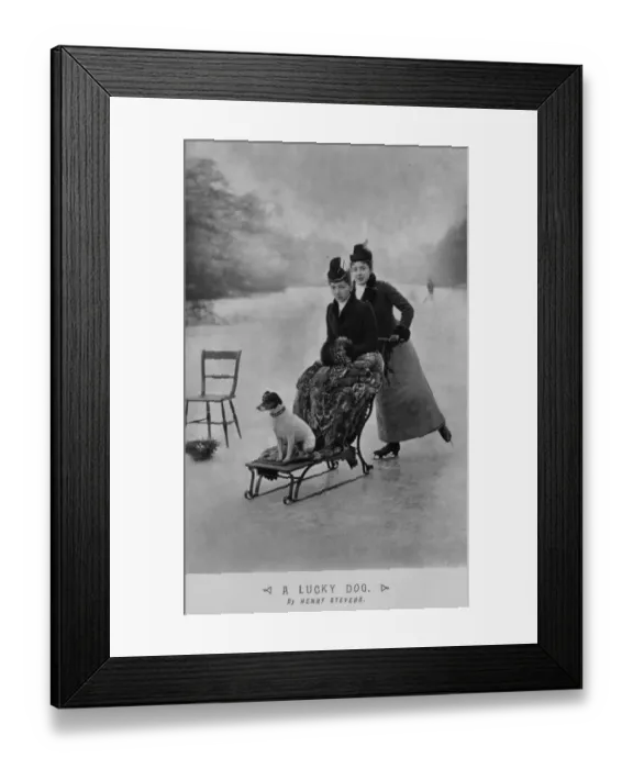 Framed Print : Lucky Dog. circa 1900: On a frozen pond one woman pushes a friend Framed Print : Lucky Dog. circa 1900: On a frozen pond one woman pushes a friend