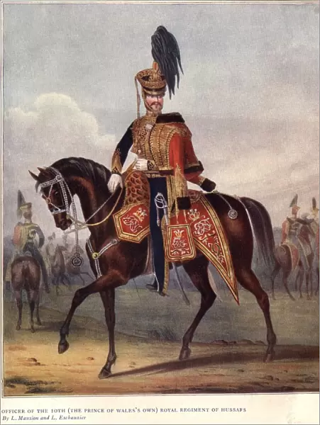Royal Hussar
