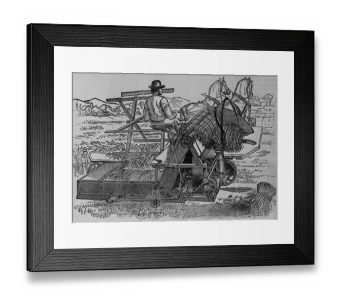 Framed Print : Harvest Time Framed Print : Harvest Time