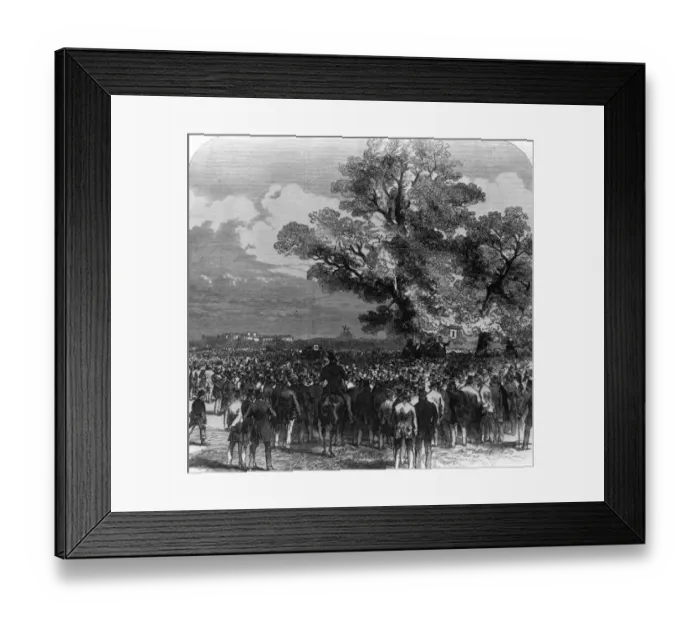 Framed Print : Reform Rally Framed Print : Reform Rally