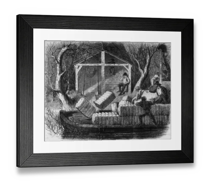 Framed Print : Loading The Magnolia Framed Print : Loading The Magnolia