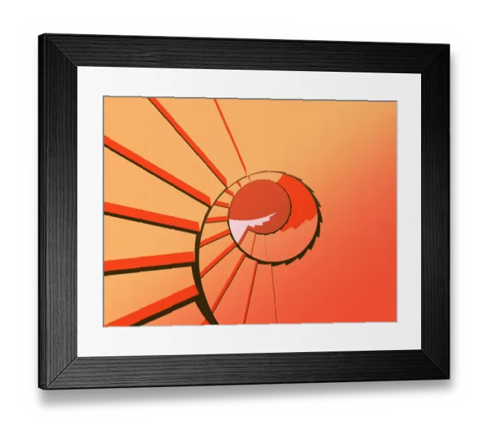 Framed Print : growth, movement, connection Framed Print : growth, movement, connection