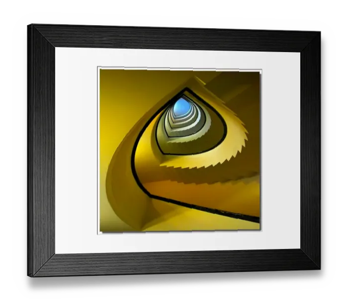 Framed Print : Yellow snail Framed Print : Yellow snail