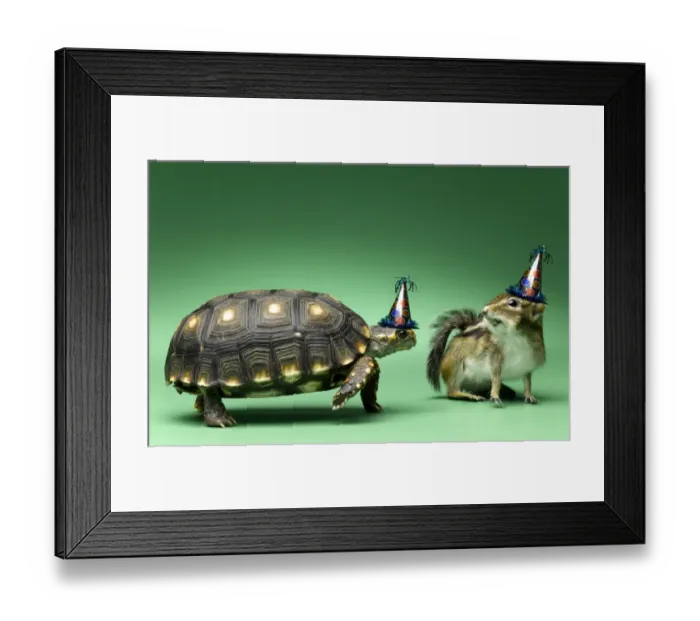 Framed Print : birthday, chipmunk, humor, party, turtle Framed Print : birthday, chipmunk, humor, party, turtle