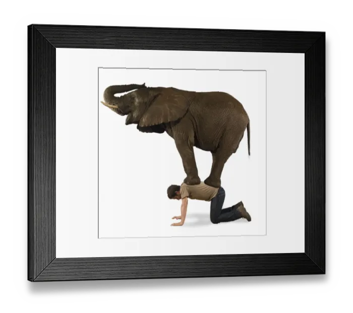 Framed Print : Easy Retouch, Colour Image, Photography, horizontal, studio shot, side view, full length Framed Print : Easy Retouch, Colour Image, Photography, horizontal, studio shot, side view, full length