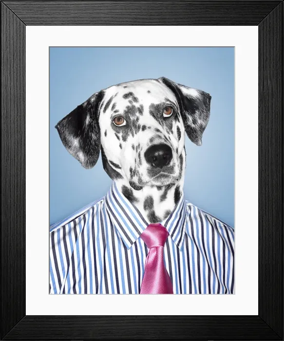 Framed Print : Dalmatian Businessman looking at camera