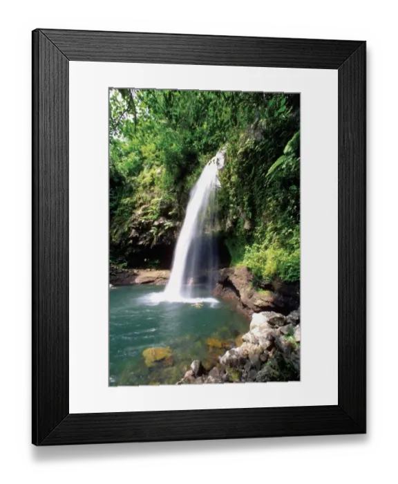 Framed Print : Beauty In Nature, Day, Falls, Fiji, Green, Growth, Idyllic, Island, Leaf Framed Print : Beauty In Nature, Day, Falls, Fiji, Green, Growth, Idyllic, Island, Leaf
