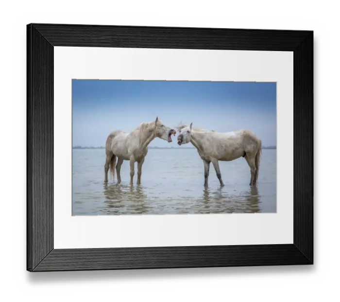 Framed Print : You re So Loud Framed Print : You re So Loud