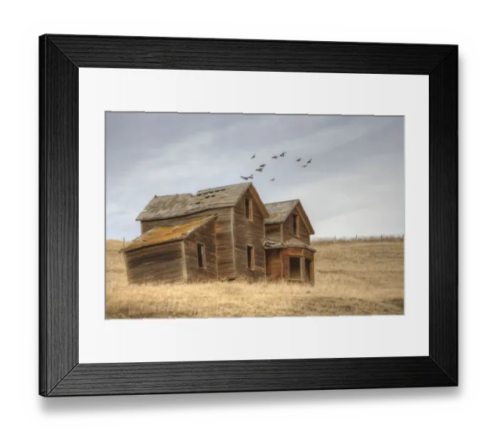 Framed Print : A derelict ranch in a prairie setting Framed Print : A derelict ranch in a prairie setting