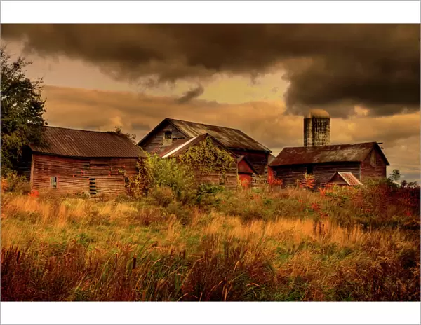 Old wooden barns in New York