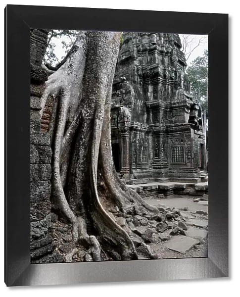 angkor, architecture, asia, asian, attraction, attractions, bayon, belief, botany