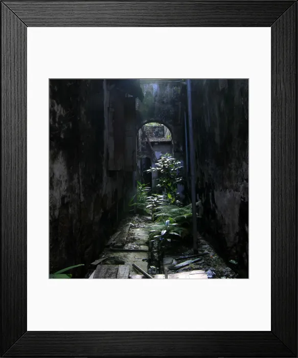 Framed Print : Being forgotten Framed Print : Being forgotten
