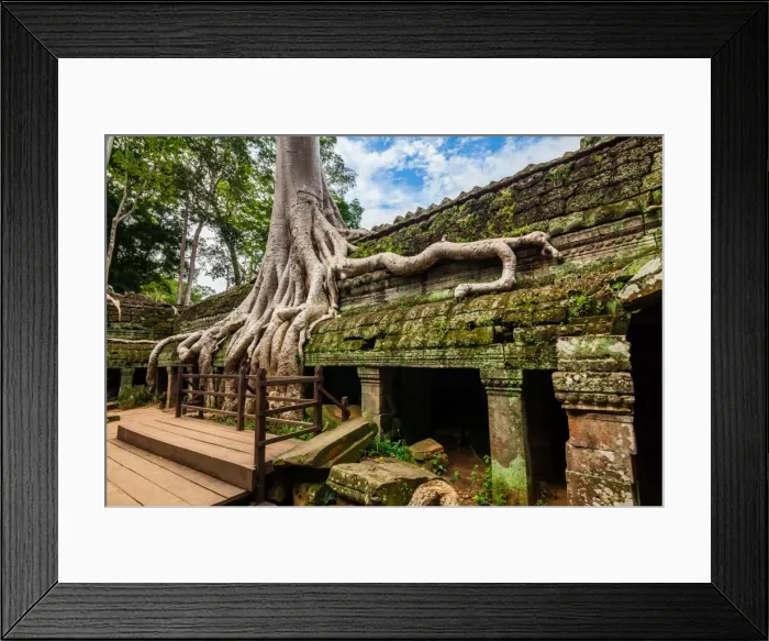 Framed Print : Spung tree cover Ta Prohm temple in Siem Reap, Cambodia Framed Print : Spung tree cover Ta Prohm temple in Siem Reap, Cambodia