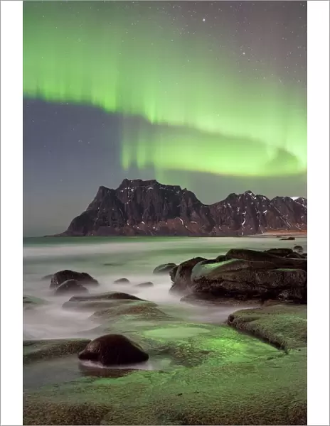 Northern Lights in Lofoten Islands