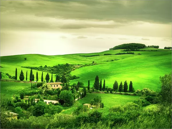 Tuscan Countryside