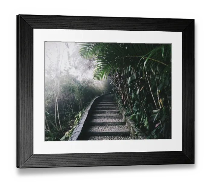 Framed Print : Tropical garden on Pao de Acucar (Sugar Loaf) mountain in Rio De Janeiro, Brazil