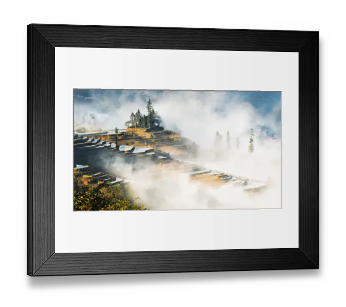 Framed Print : Rice Patties in the Fog Framed Print : Rice Patties in the Fog