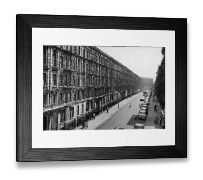 Framed Print : Bronx, New York City Framed Print : Bronx, New York City