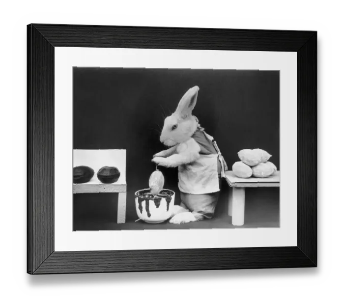 Framed Print : Chocolate Eggs Framed Print : Chocolate Eggs