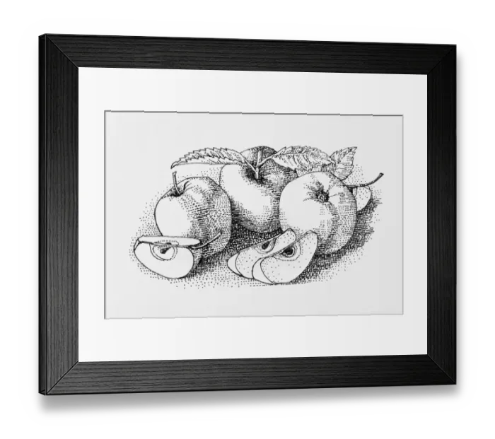Framed Print : Apple, Black and White Illustration, Digitally Generated, Food and Drink, Freshness Framed Print : Apple, Black and White Illustration, Digitally Generated, Food and Drink, Freshness