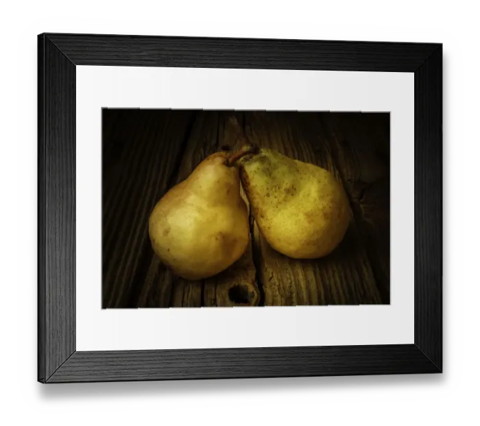 Framed Print : Two Ripe Pears Still Life Framed Print : Two Ripe Pears Still Life