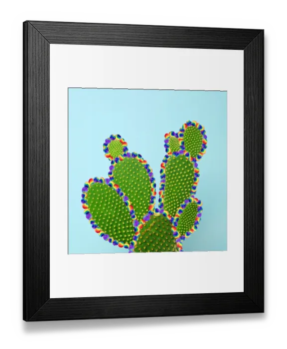Framed Print : Cactus with Tyedye Puffballs Framed Print : Cactus with Tyedye Puffballs