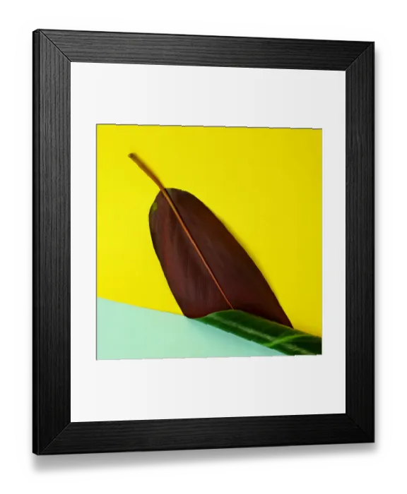 Framed Print : Banana Leaf on Yellow and Teal Background Framed Print : Banana Leaf on Yellow and Teal Background