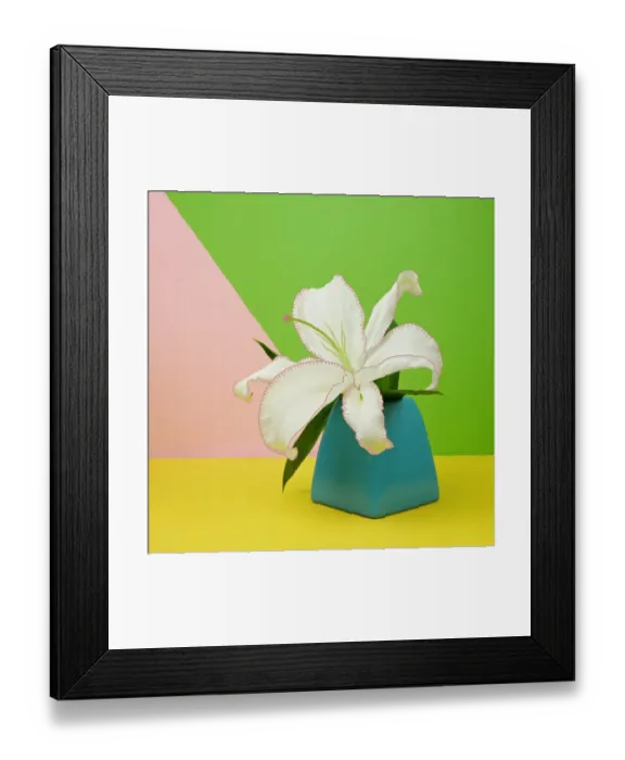 Framed Print : White Lily Flower in Blue Vase Framed Print : White Lily Flower in Blue Vase