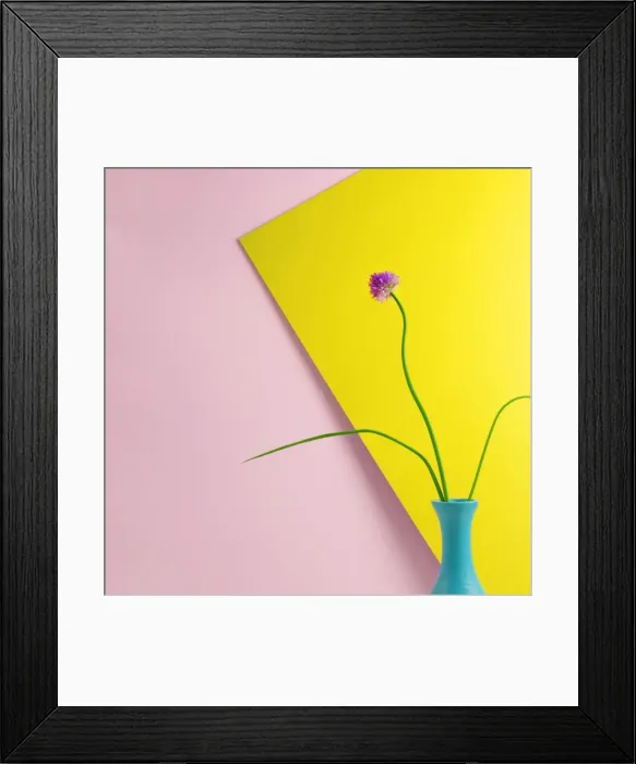Framed Print : Flowering Chive Blossom Framed Print : Flowering Chive Blossom