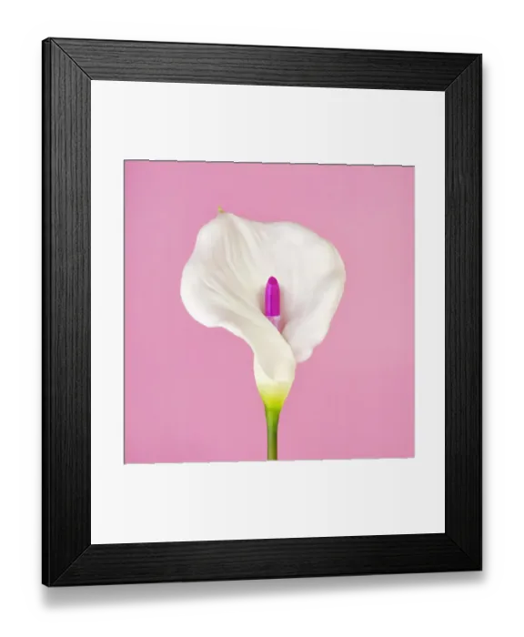 Framed Print : White Calla Flower with Lipstick Iris Framed Print : White Calla Flower with Lipstick Iris
